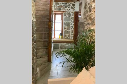 Apartamento Lava House