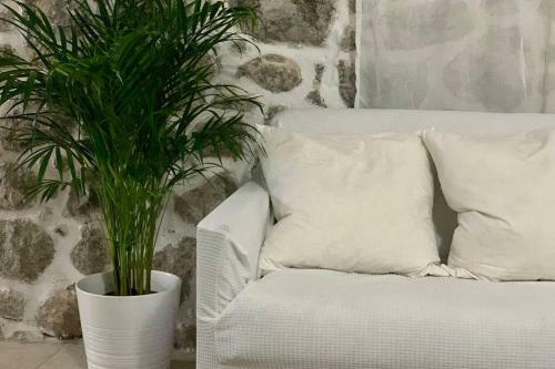 Apartamento Lava House
