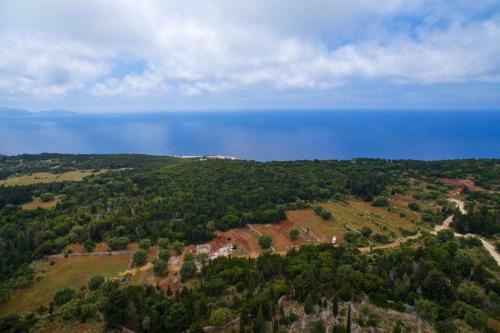 Villa Euphoria Retreat