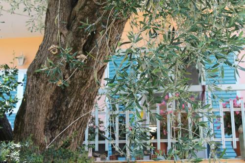 Hostal Zuflucht Corfu