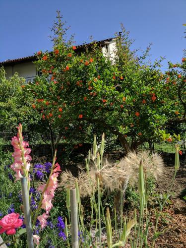 Hostal Zuflucht Corfu