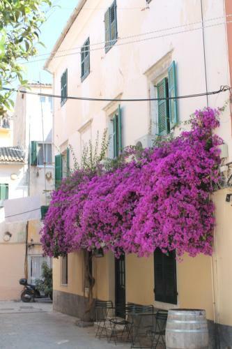 Hostal Zuflucht Corfu