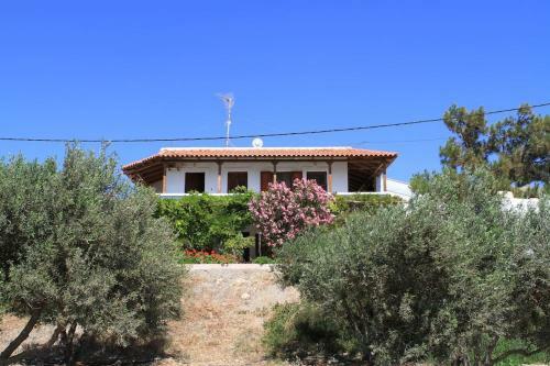 Apartamento Traditional Olive House
