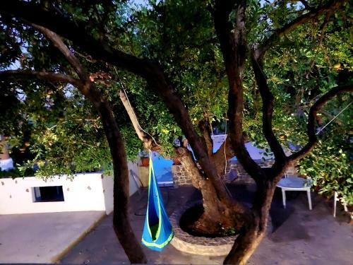 Apartamento Peter & Paul Seaview House Private Parking, A/c