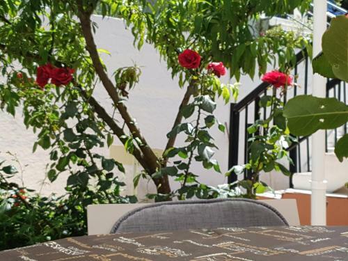 Apartamento Angelika House 1