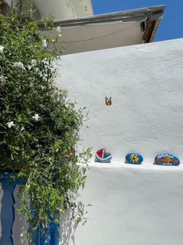 Apartamento Marena 1