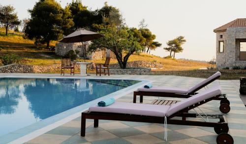 Hostal Wild Fig Retreat