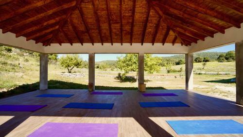 Hostal Wild Fig Retreat