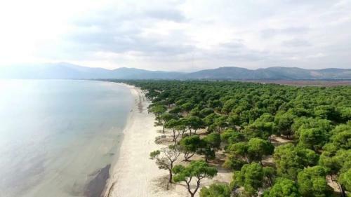 Palmar Club - Villa Maryam