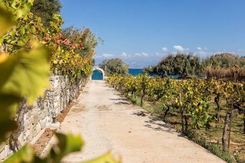 Bilmar Little Palace/ Steps From The Beach