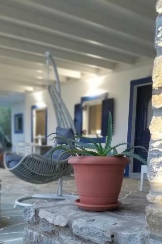 Bilmar Little Palace/ Steps From The Beach