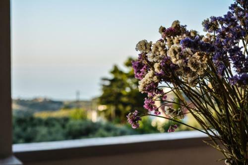 Anthemis Apartment