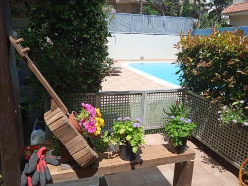 Dreamcoast Apartments I
