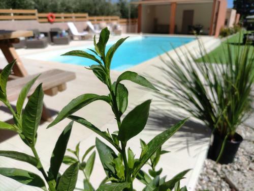 Modular Bungalows Vravrona Artemis Greece