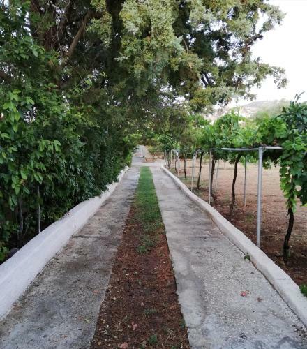 Apartamento Dreamhome -10min From Airport-