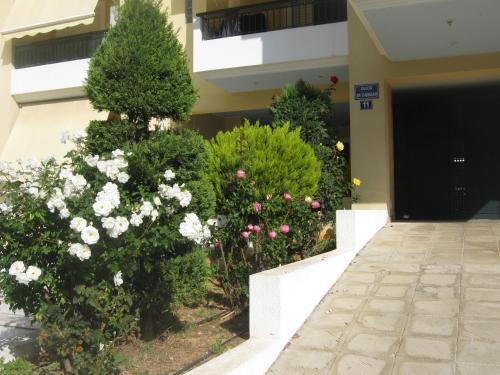 Apartamento Vasi