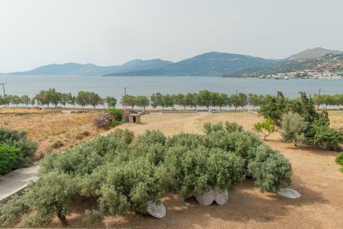 Marmari Beach View