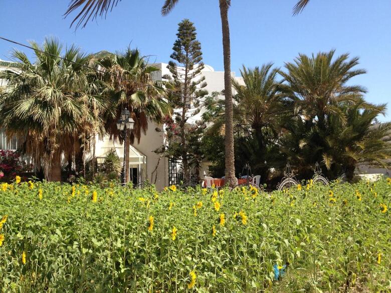 Hotel Djerba Orient