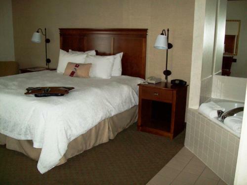Hotel Hampton Inn Sidney