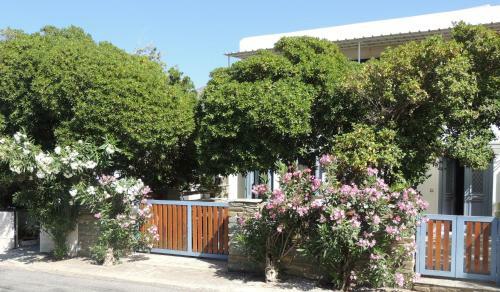 Apartamento Levante Studios ?ndros