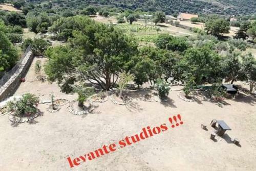 Apartamento Levante Studios ?ndros
