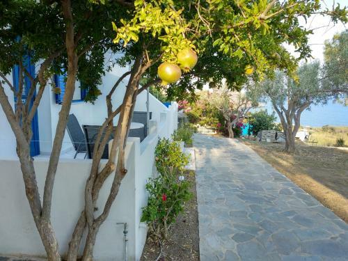 Apartamento Litus Studios