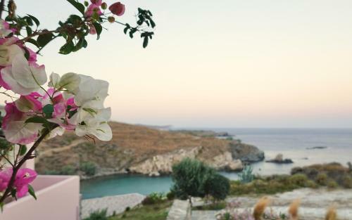 Lydia House By Elefthia Syros