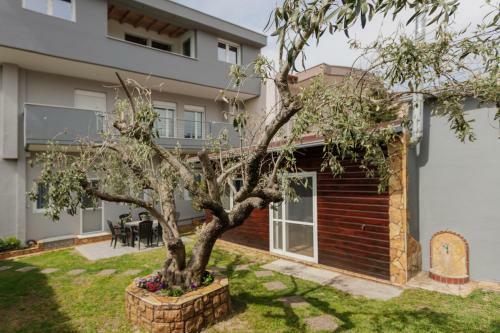 Wooden House