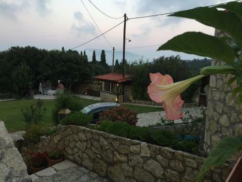Vervekis Apartments