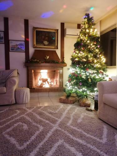 Ferienhaus Mit Meeresblick