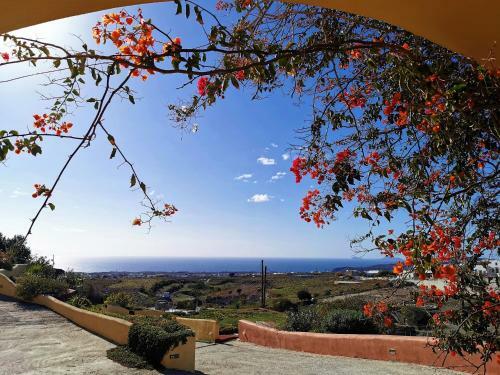 Apartamento Vineyards Hill Villa