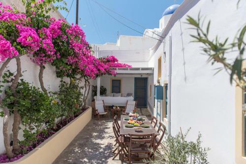 The Bougainvillea