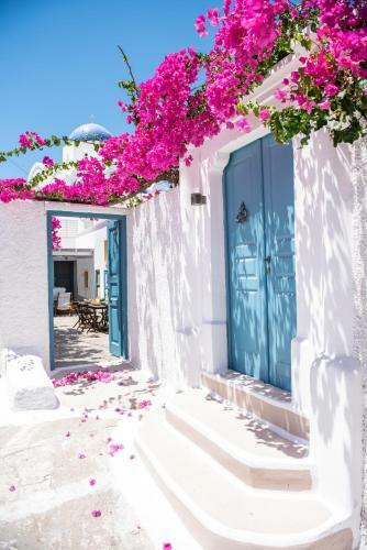 The Bougainvillea