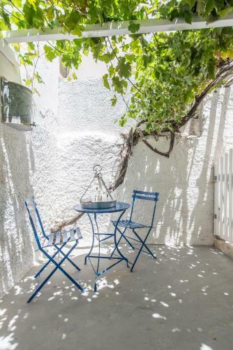 The Bougainvillea