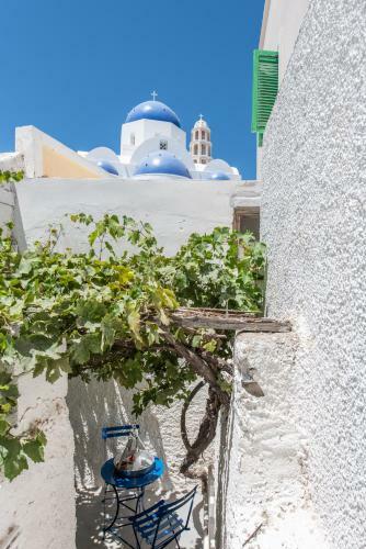 The Bougainvillea