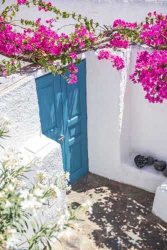 The Bougainvillea