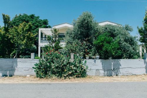 Apartamento Cactus Suite