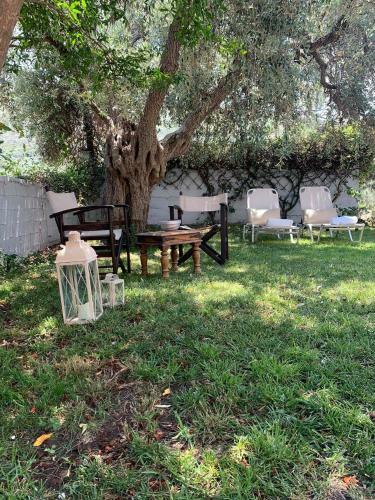 Apartamento Cactus Suite