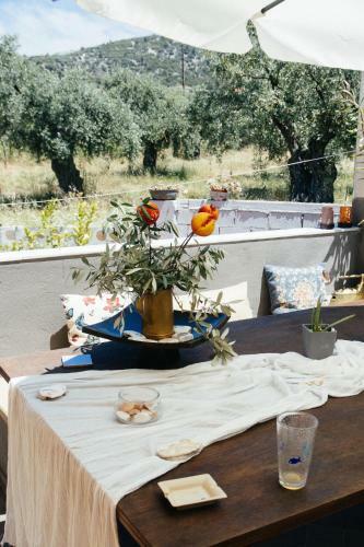 Apartamento Cactus Suite