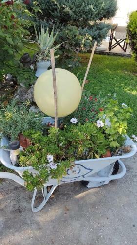 Apartamento Cactus Suite