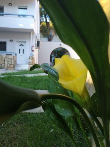 Apartamento Bleu- Vert