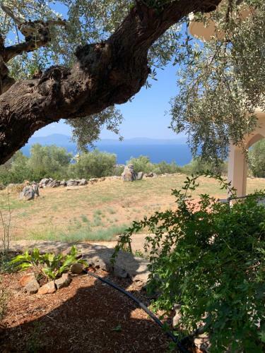 Villa Ventana