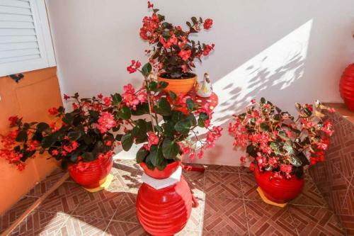 Elena Beach Apartment