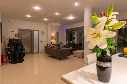 Ionian Pearl Luxury Spa Villa