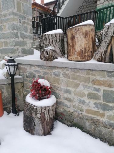 Hostal Nuca Guesthouse