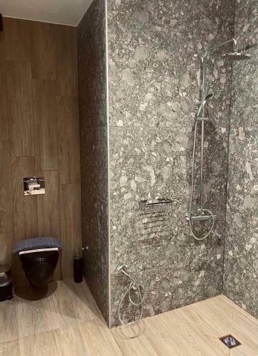 11 Luxury Apartments Metsovo.