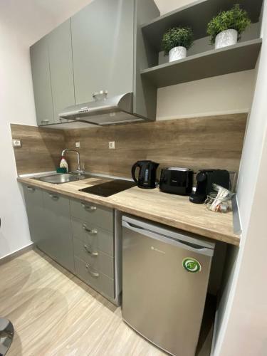 11 Luxury Apartments Metsovo