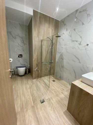 11 Luxury Apartments Metsovo
