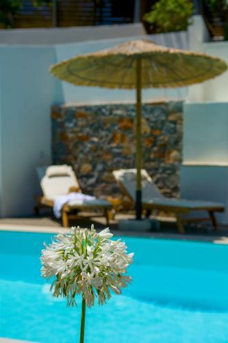 Pakio Luxury Villa : Private Cretan Holidays
