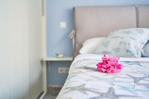 Apartamento Metamorfosi Pine Forest View